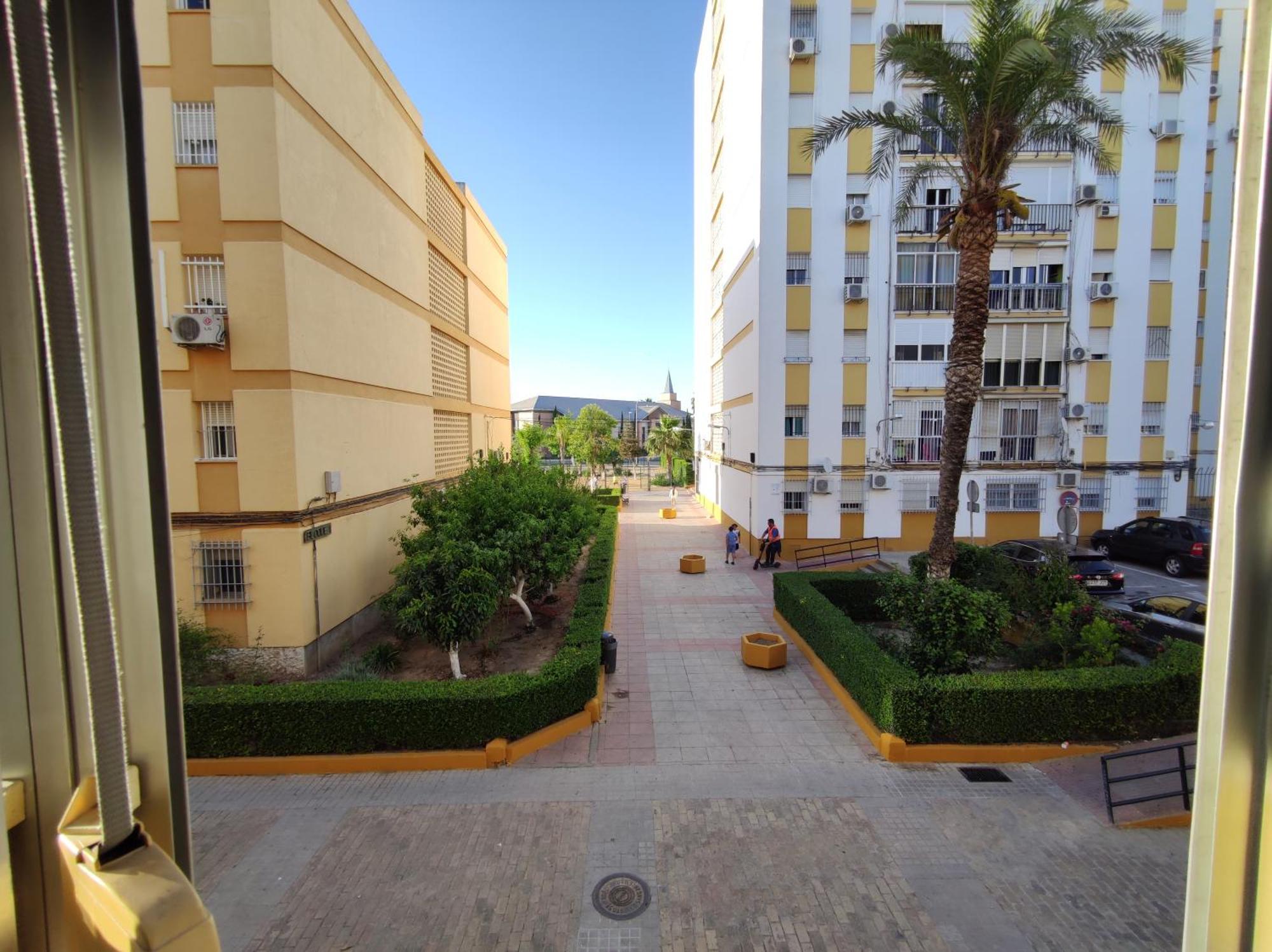 Apartamento Celia Севиля Екстериор снимка