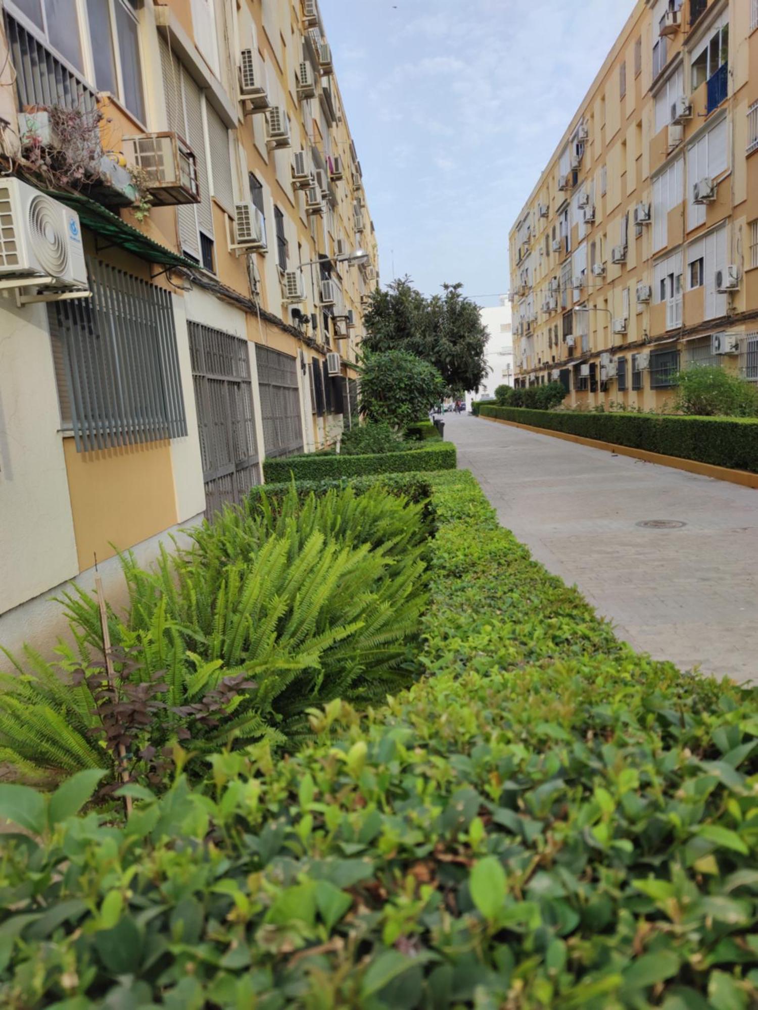 Apartamento Celia Севиля Екстериор снимка